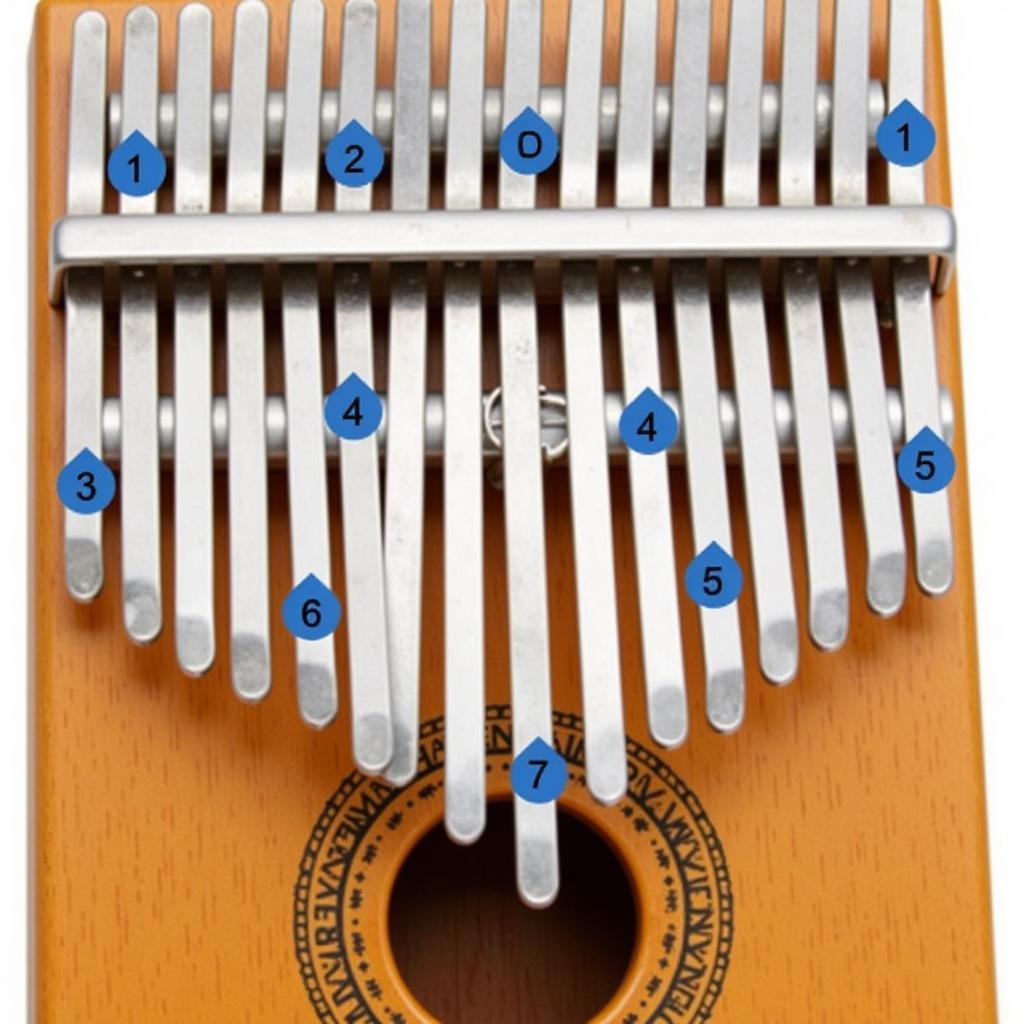 Đọc tab kalimba