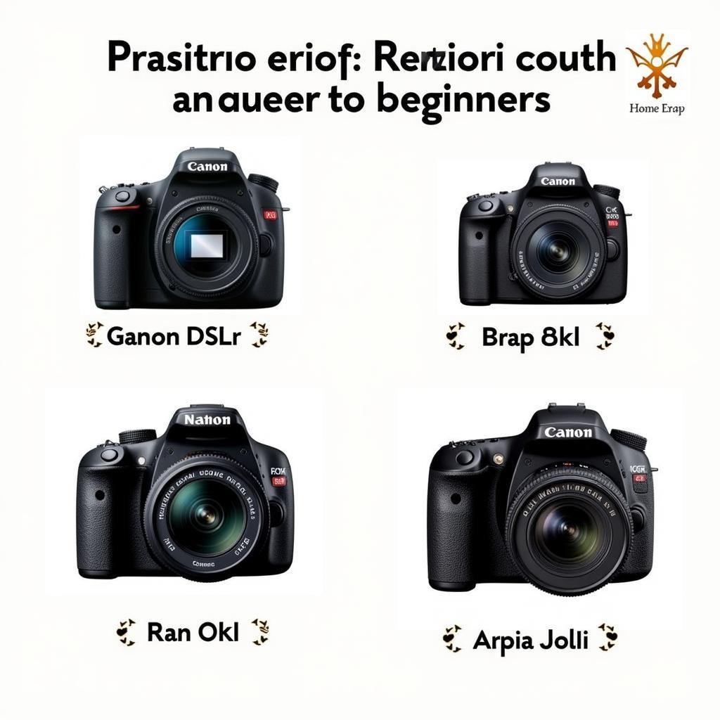 Máy ảnh DSLR cho người mới chơi