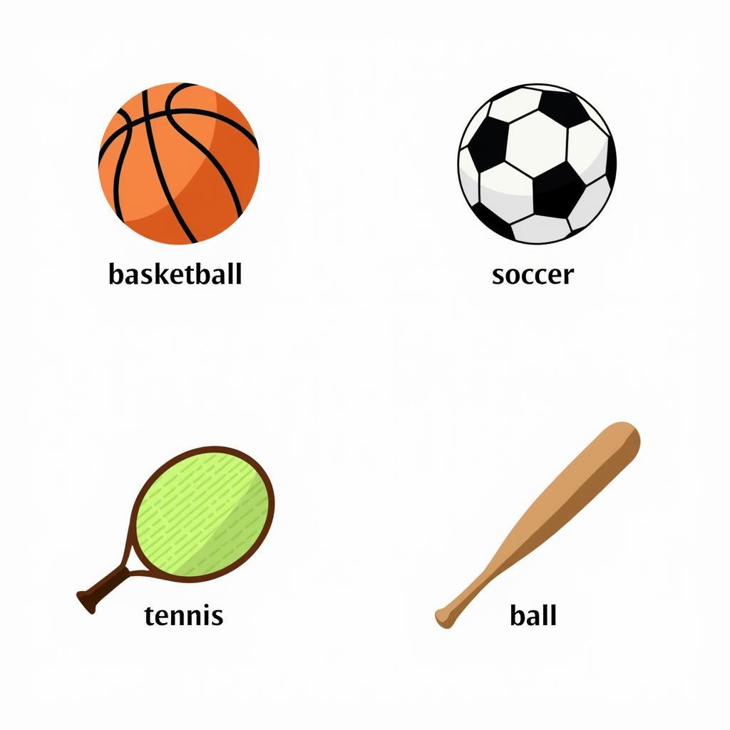 Sports Vocabulary