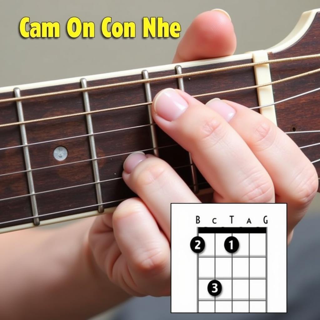 Cách chơi Cảm Ơn Con Nhé trên guitar