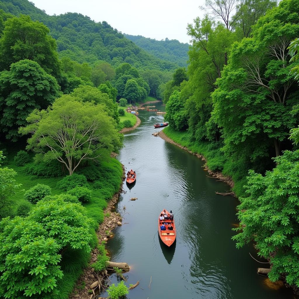 Rừng Tràm Trà Sư An Giang: Khung cảnh thiên nhiên tuyệt đẹp